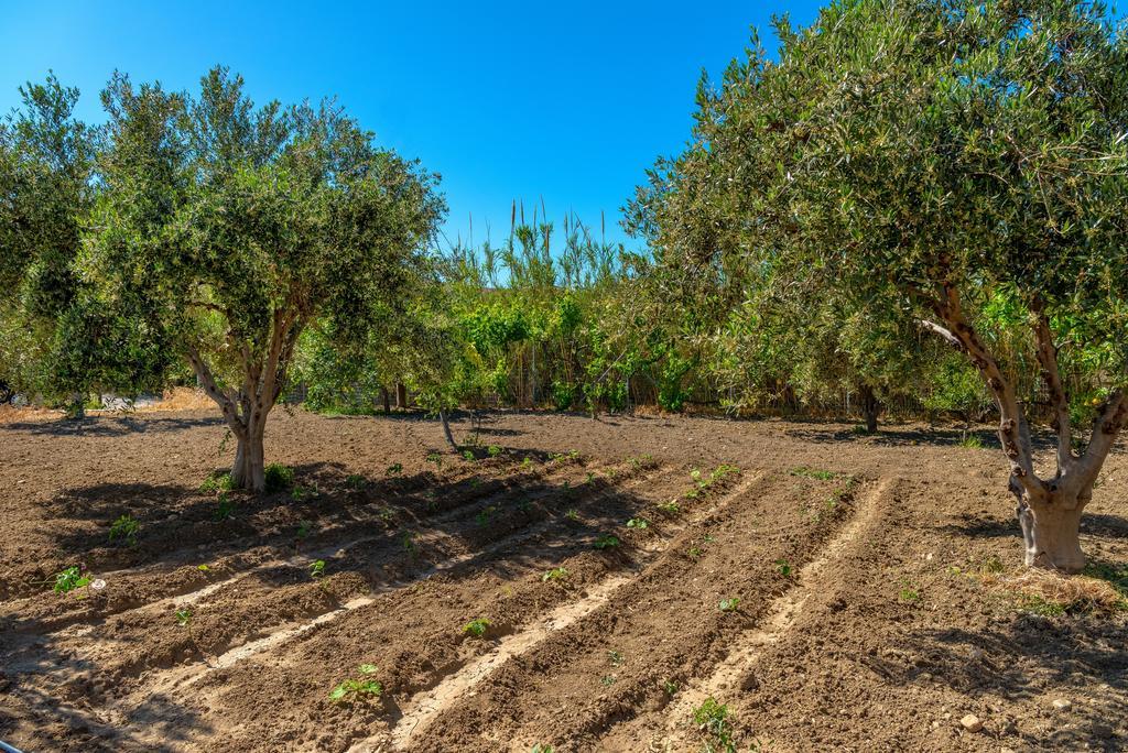 Villa Delona Εγκαρές Εξωτερικό φωτογραφία